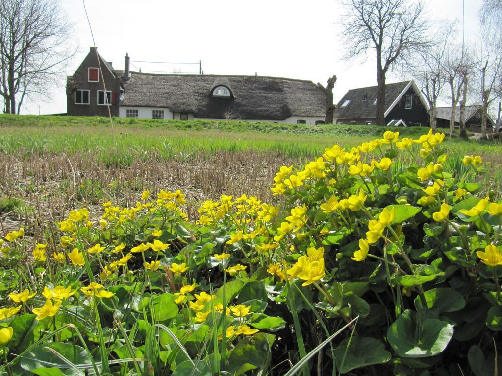 Hostal Boerderij Honswijck Weesp Exterior foto